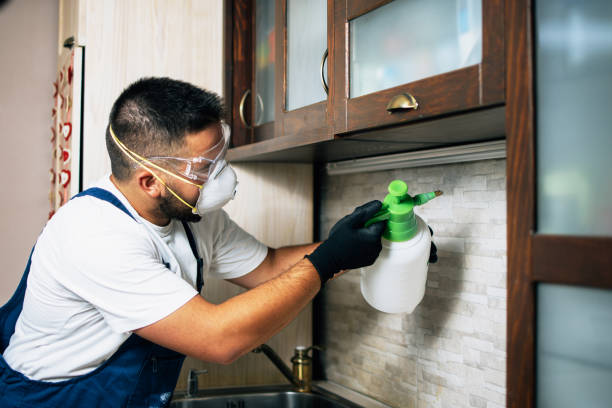 Best Pest Control Near Me  in Owosso, MI