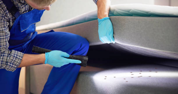 Best Bed Bug Extermination  in Owosso, MI