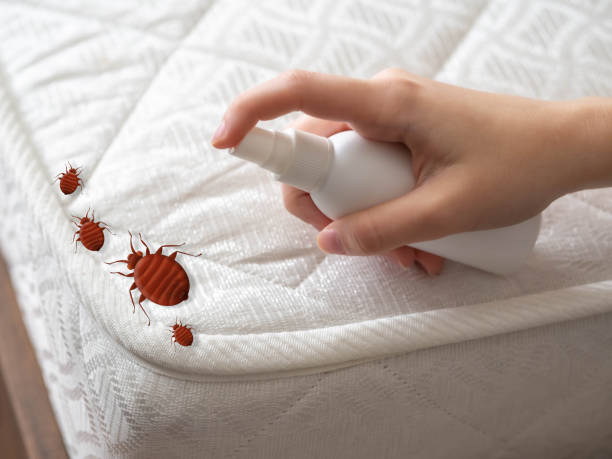 Best Pest Prevention Services  in Owosso, MI