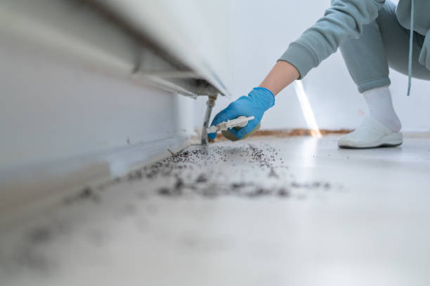 Best Pest Removal Services  in Owosso, MI